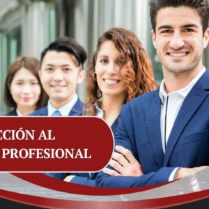 Introduciion al ejercicio profesional